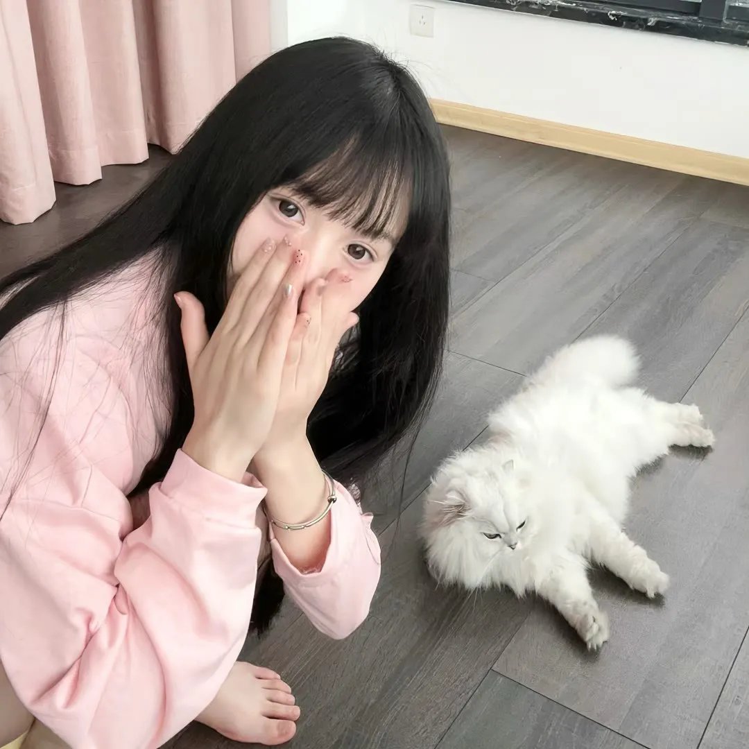 八角笼